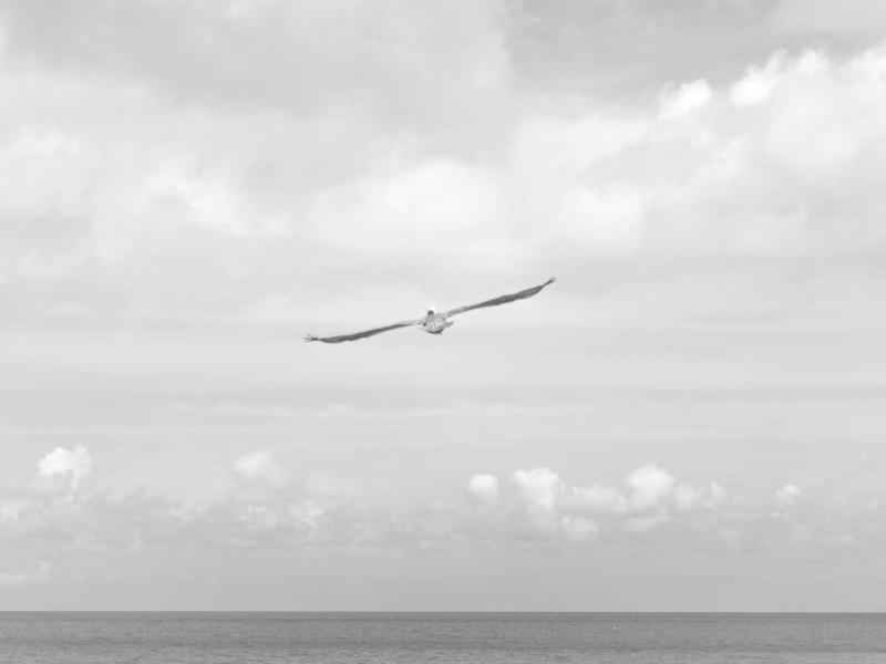 废土拾荒者<br>ly8tfut.cn 垃圾佬的荣耀